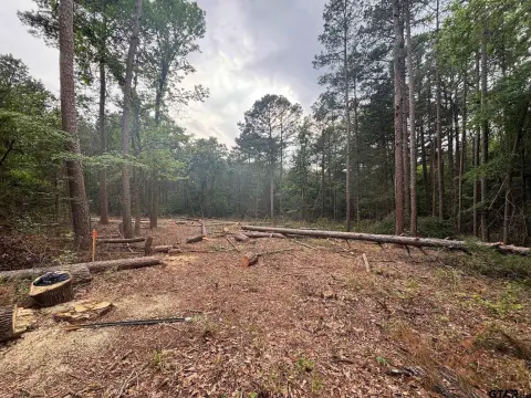 One-Acre Wooded Lot in Diana