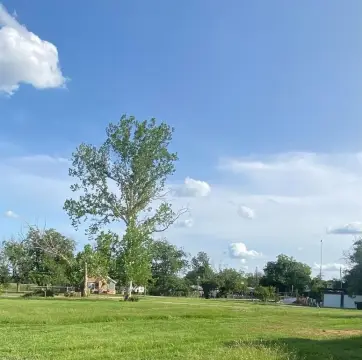 Residential Land with Development Potential