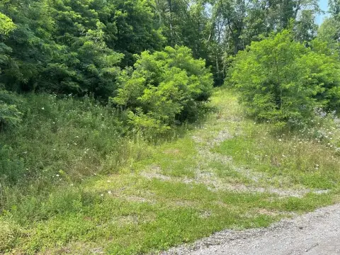 Residential Land in Hemlock Hills