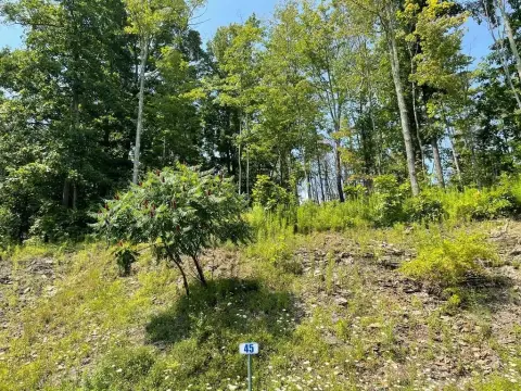 Residential Land in Hemlock Hills