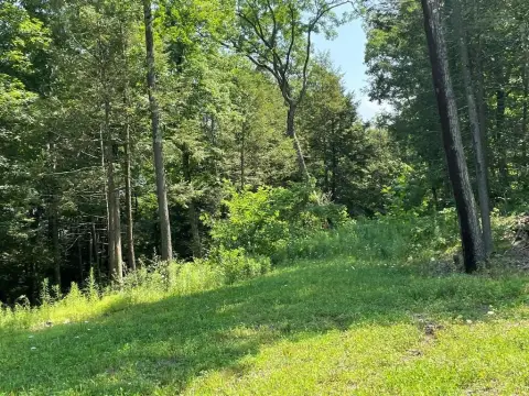 Residential Land in Hemlock Hills
