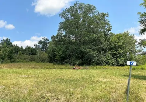 Residential Land with Mountain Views