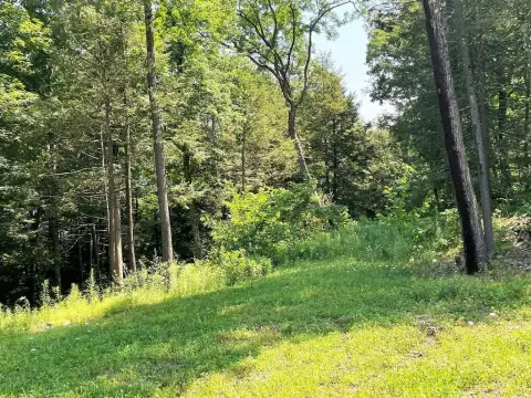 Residential Land in Hemlock Hills