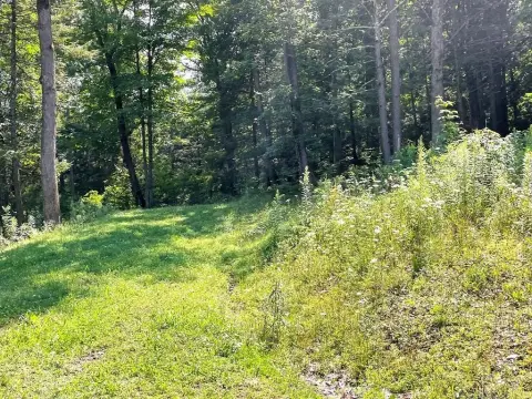 Residential Land in Hemlock Hills