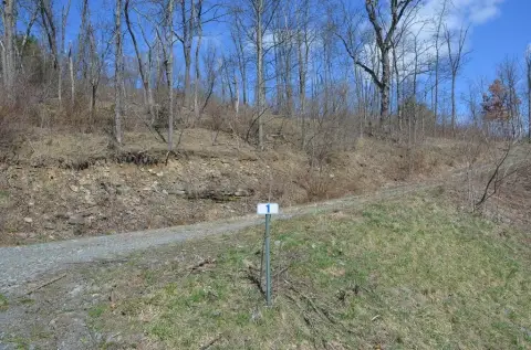Vacant Lot in Hemlock Hills