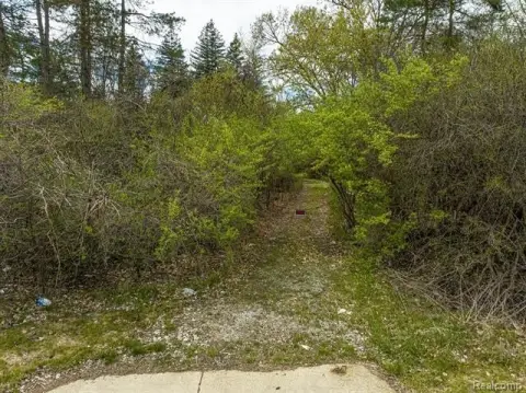 Bloomfield Hills Vacant Land