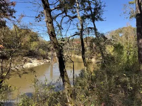 Undeveloped Land in Florence, MS