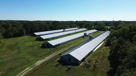 Agricultural Land with Poultry Infrastructure