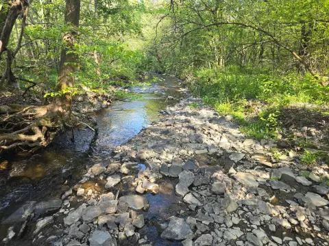 Recreational Hunting Land with Trails