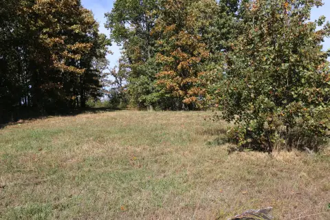 West Plains Wooded Home Site
