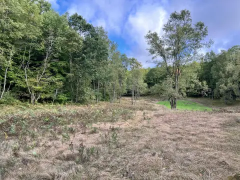 40 Acres Hunting Land with Cabin