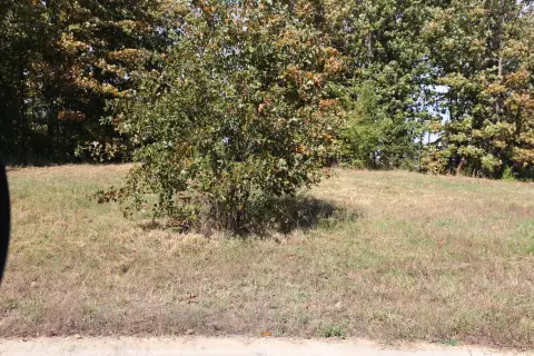 West Plains Wooded Home Site