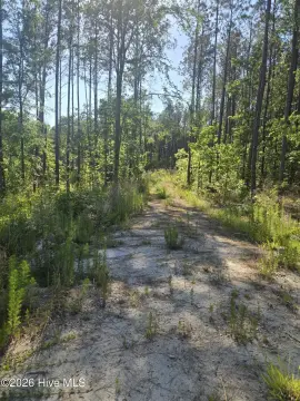 Wooded Lake-Community Home Lot