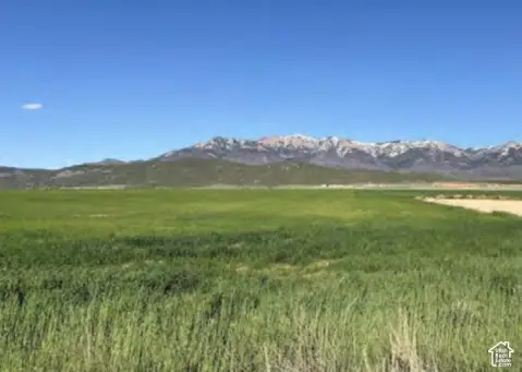 Agricultural Land