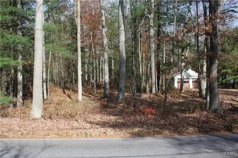 Wooded Lot in Lehigh Twp