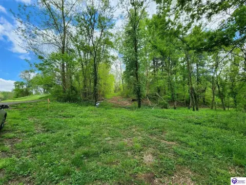 Rineyville Land with Development Potential