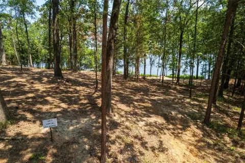 Waterfront Lot on Lake Bob