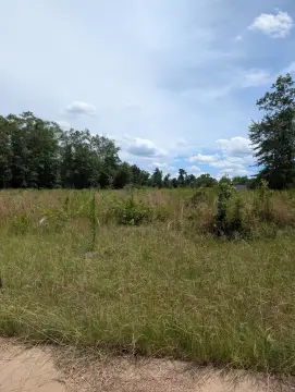 Residential Development Lots in Subdivision