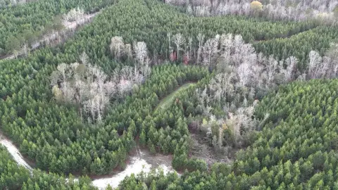 159 Acres Hunting & Recreational Land