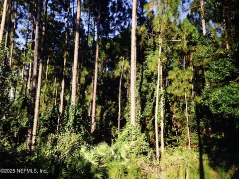 Jacksonville Land with Easement Rights
