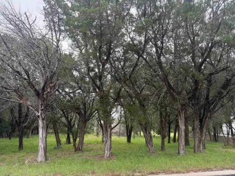 Residential Homesite in Hill Country