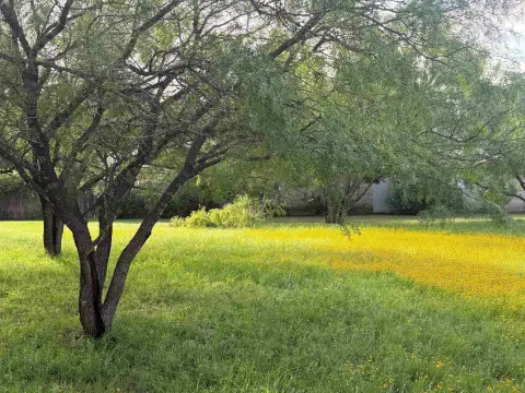 Residential Homesite Lot
