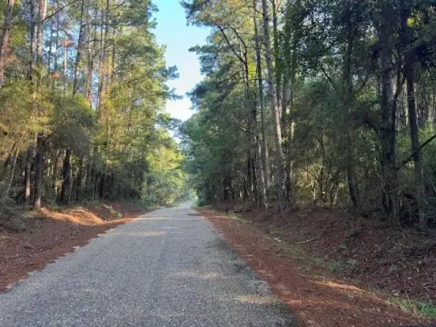Land for Sale, Tylertown, MS