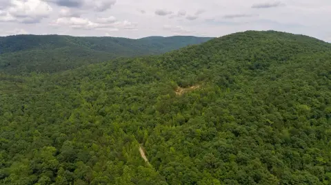 National Forest–Bordering Hunting Land