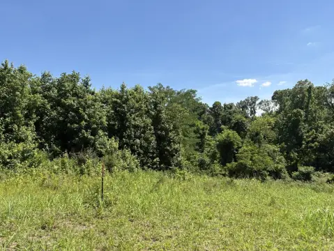 Vacant Land with Rolling Terrain