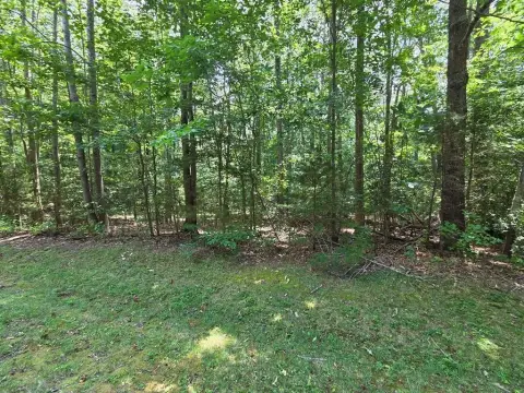 Waterfront Buildable Land Lot