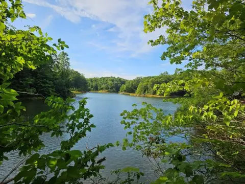 Lakefront Cul-de-Sac Land Lot