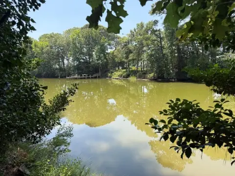Waterfront Residential Land