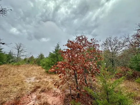 Land For Sale in Noble