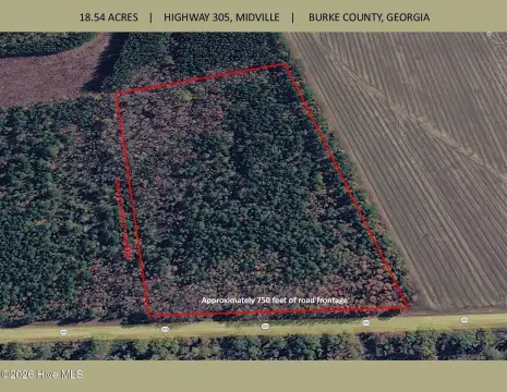 Midville, GA Land For Sale