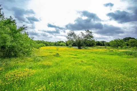 Waco Land with Road Frontage