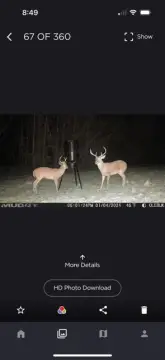 Residential Land For Sale