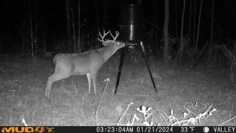 Clopton, AL Residential Hunting Land