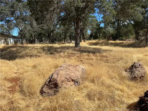 Double Lot in Clearlake