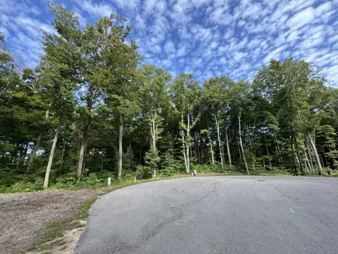 Wooded Lot Near Lake Michigan