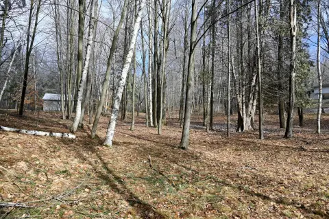 Waterfront Land in Evart, MI