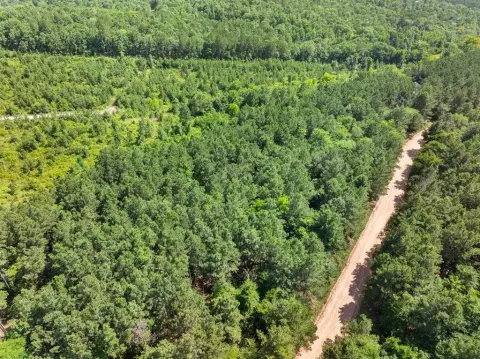Wooded Mountain Homesite