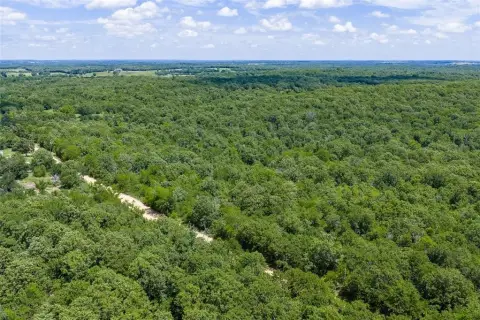 Wooded Hunting Land