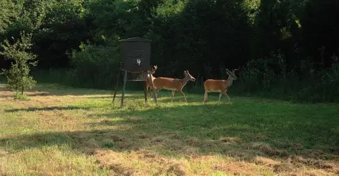 Recreational Hunting Land