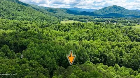 Sevierville Land Parcel For Sale