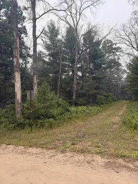 Wooded Recreational Land Parcel