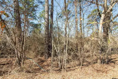 East Texas Acreage Homesite