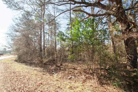 East Texas Acreage Homesite