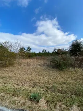 Poplarville Land with Development Potential