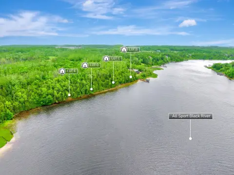 Wooded Black River Waterfront Land