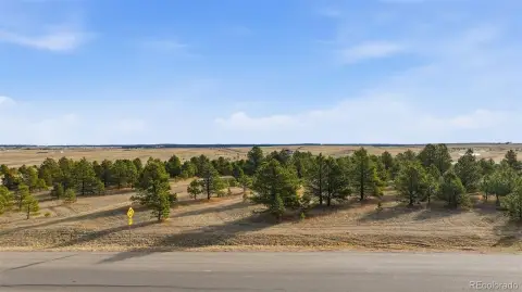 Colorado Springs Land with Pine